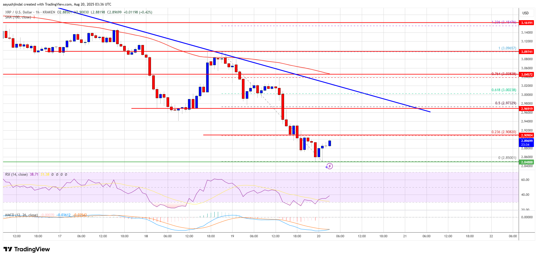 سقوط قیمت XRP زیر 3 دلار ، درد بیشتر برای گاوها؟