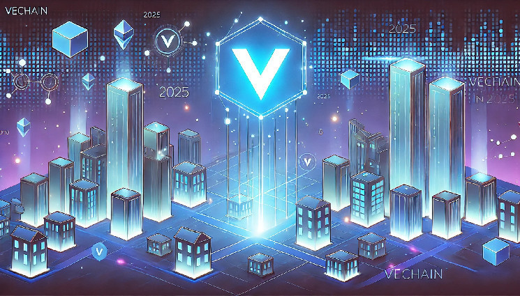 همکاری جدید VeChain؛ ادغام Privy برای پذیرش گسترده‌تر!