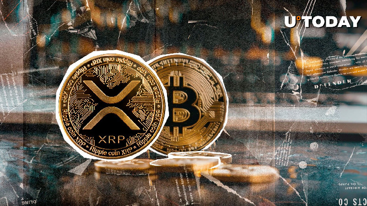 تحلیل وضعیت XRP در برابر بیت‌کوین؛ سقوط مرگبار یا آغاز یک روند صعودی طلایی؟