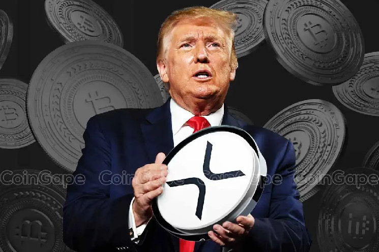 درگیری در دنیای کریپتو: وکیل Pro-XRP، طرفداران بیت‌کوین را به دلیل حمله به ترامپ محکوم کرد!