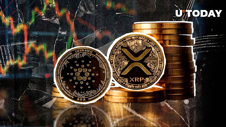 اختلافات استراتژیک جنجالی شد؛ نارضایتی جوامع XRP و Cardano بالا گرفت!