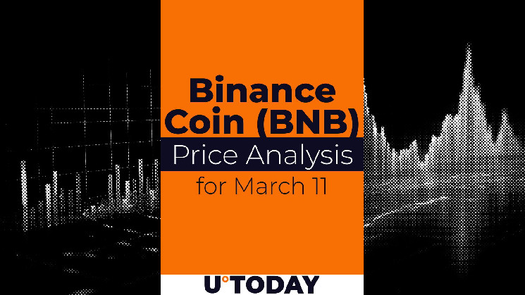 پیش بینی قیمت سکه Binance (BNB) برای(22 اسفند 1403)