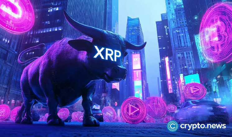 آینده XRP؛ آیا قبل از رشد به ۳.۵ دلار، سقوط به ۱ دلار محتمل است؟