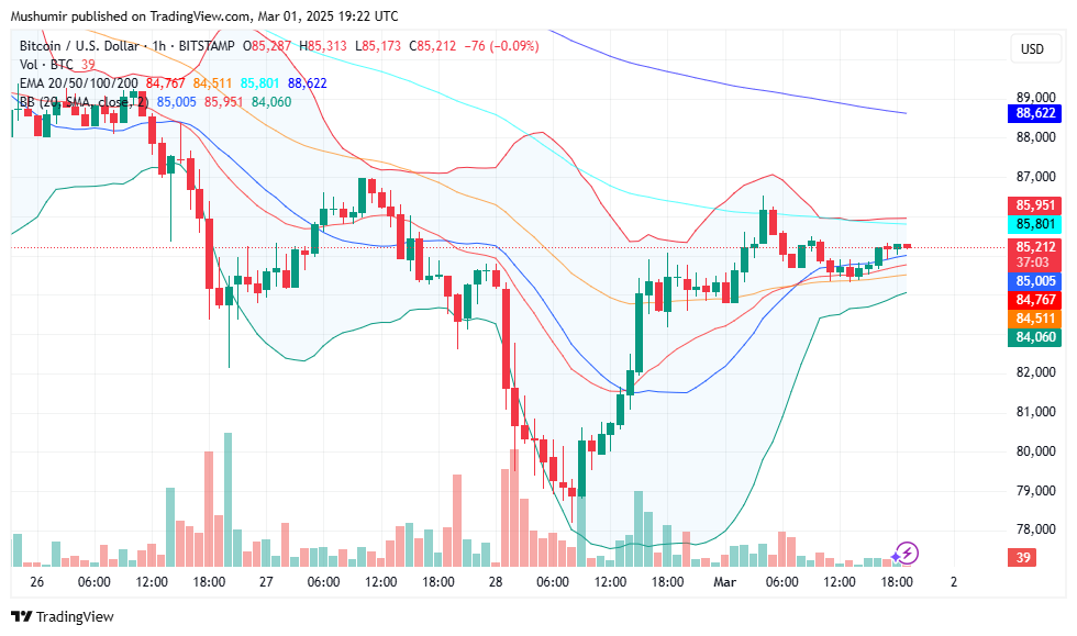 پیش بینی قیمت بیت کوین (BTC) برای 1 مارس